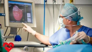 فوق تخصص قلب