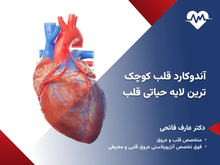 آندوکارد قلب